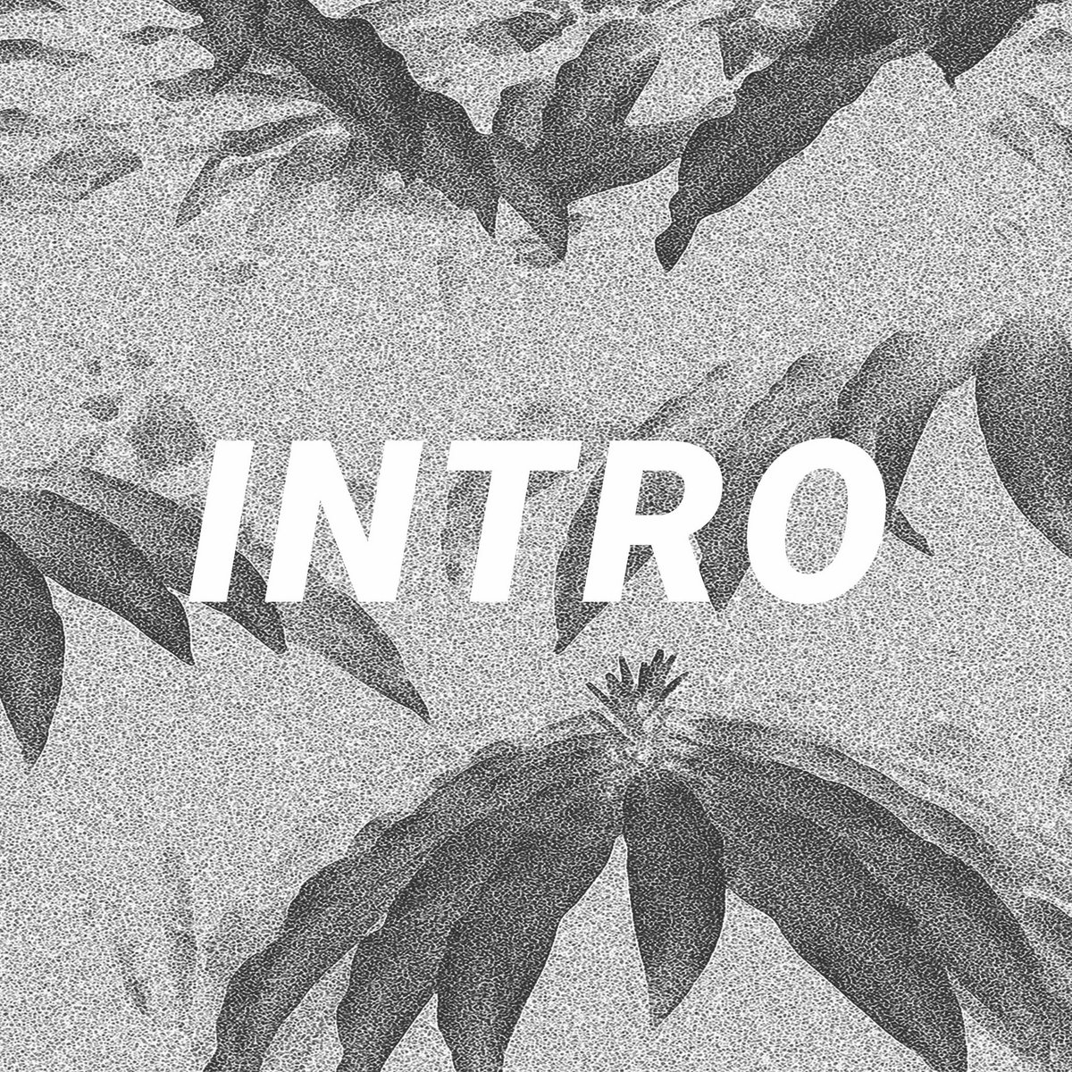 Introduction
